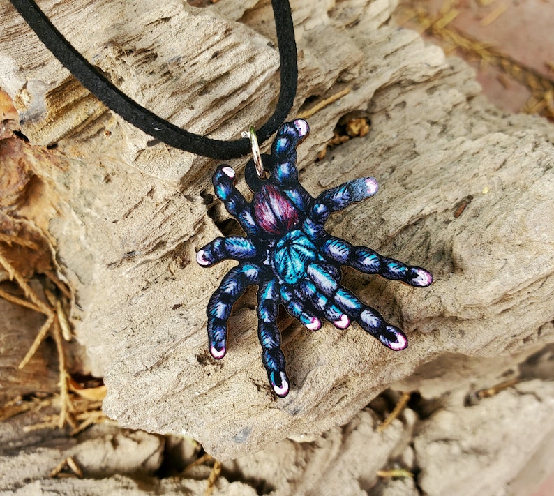 May include: A colorful tarantula pendant necklace. The pendant features a detailed illustration of a tarantula in shades of blue, purple, and teal. The necklace has a black cord.