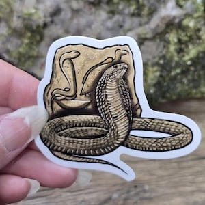May include: A sticker depicting a cobra snake with its hood raised, coiled in a defensive posture. The snake is in shades of brown and tan, with a stylized background. The sticker is held by a hand.