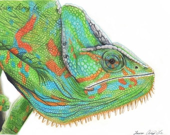 Veiled Chameleon Portrait - Fine Art Print - By Laura Airey Le - Reptile Lizard Green Animal Wildlife