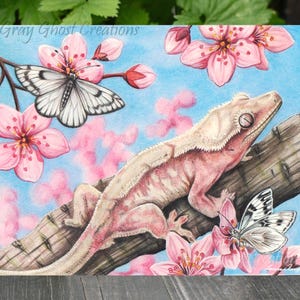 May include: A pink and white crested gecko perched on a branch with pink cherry blossoms and white butterflies. The gecko has a light pink body with white stripes and a light blue background.