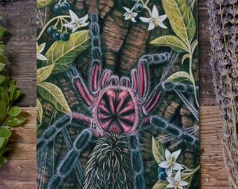 X. immanis Tarantula Art Print: Venom and Nightshade Pastel Drawing