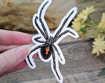 Black Widdow Sticker - 4 inch glossy sticker - Tarantula Insect Bug Arachnid Art Waterproof Unique Wildlife