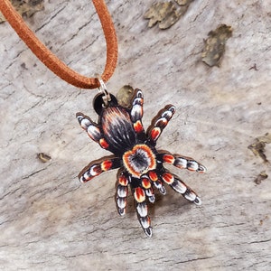 Mexican Red Knee Tarantula Brachypelma hamorii Wooden Pendant and Necklace One Necklace You Pick the Color Smithi Spider Gift image 2