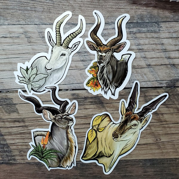 Set of Four Stickers - Majestic White Blesbok Kudu Nyala and Eland African Antelope Stickers - 4 inch glossy waterproof stickers