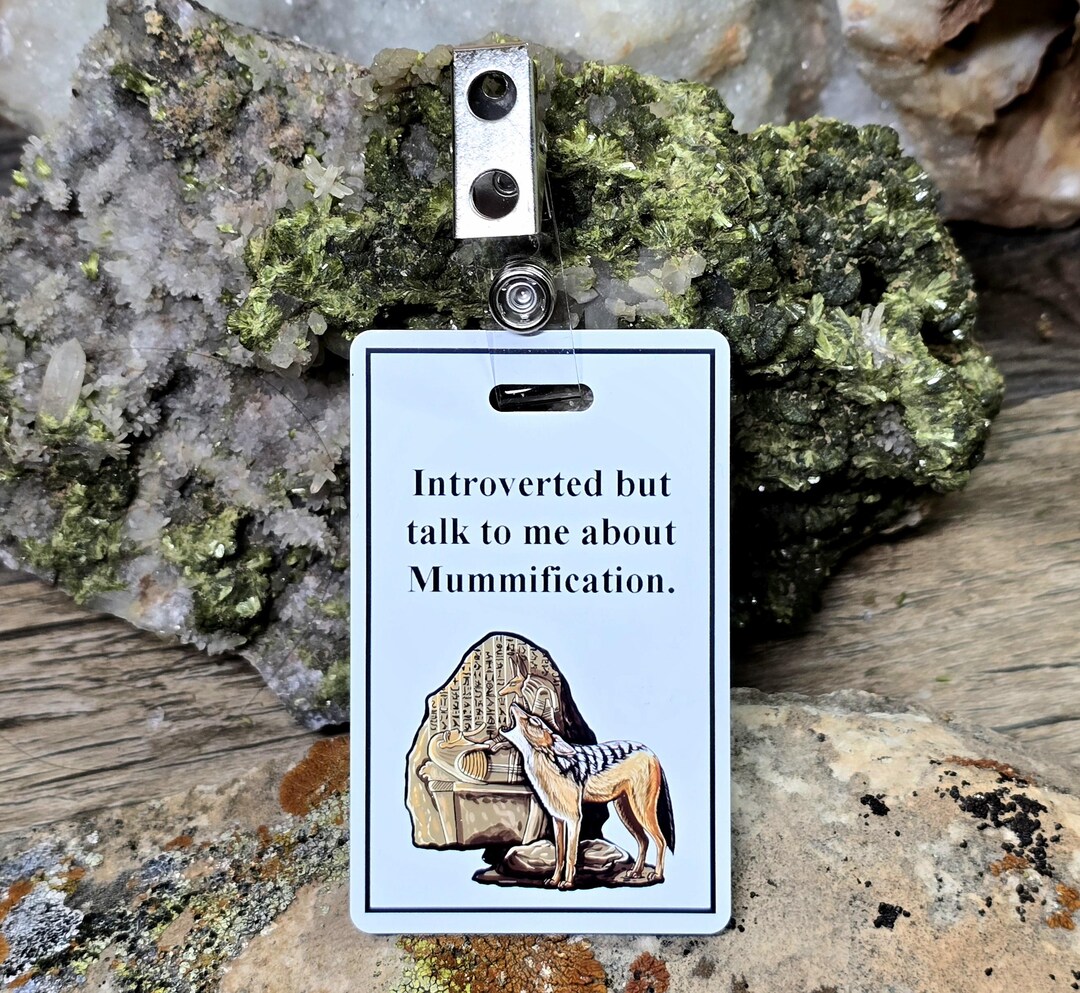 Introverted Egyptian Mummification Badge: Waterproof PVC Accessory - Etsy