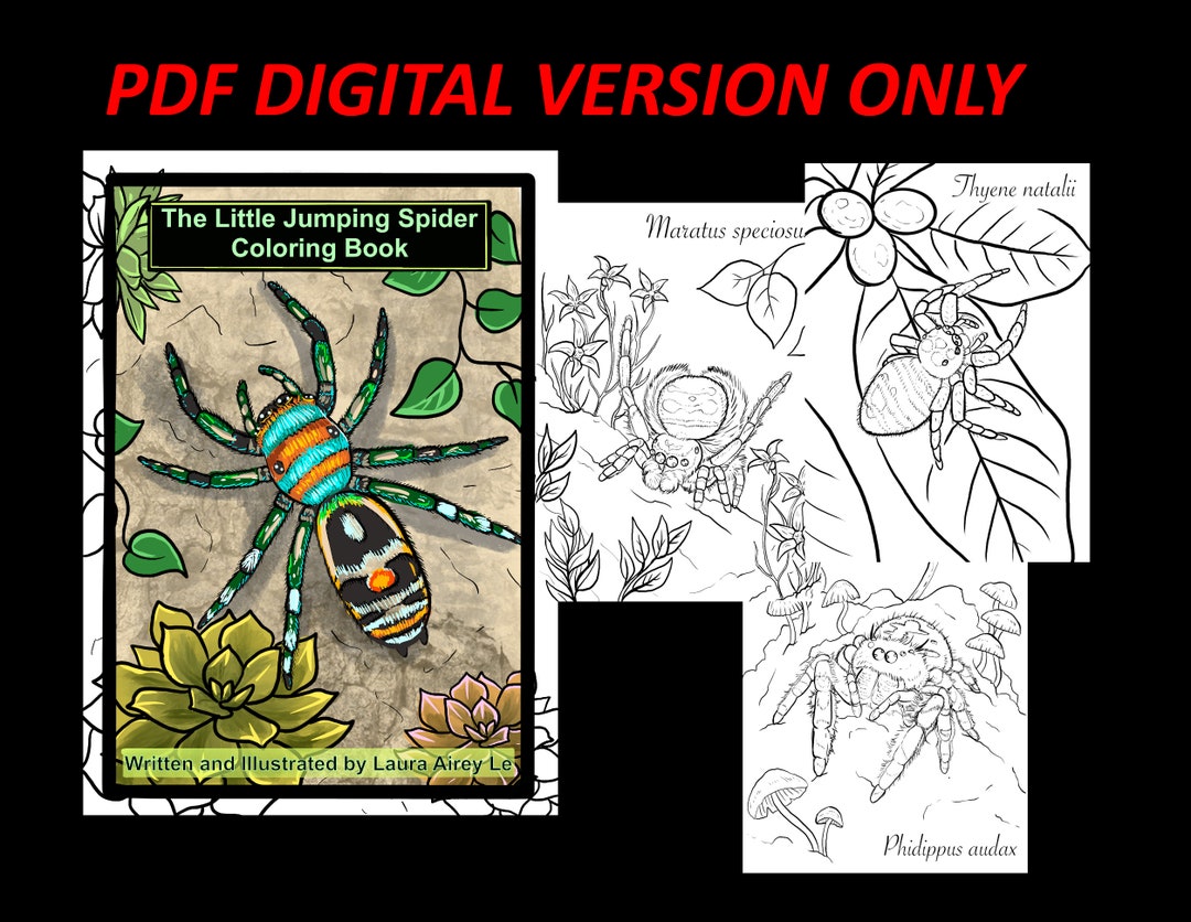PDF DIGITAL Version ONLY - the Little Jumping Spider Coloring Book - 12 ...