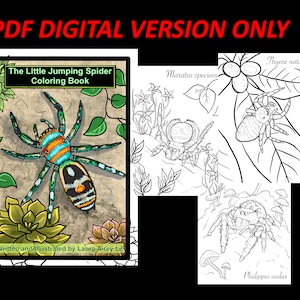 PDF DIGITAL Version ONLY - The Little Jumping Spider Coloring Book - 12 Different Jumping Spider Coloring Pages - Arachnid Tarantula Bug Fun