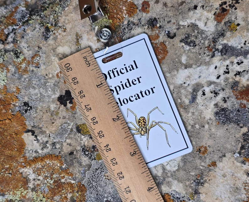 以下が含まれることがあります： 「Official Spider Locator」の文字とクモのイラストが描かれた白い長方形のタグ。木製の定規がタグの横にあり、センチメートルで測定しています。タグは金属製のクリップに取り付けられています。