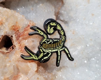 Hard Enam Pin - Desert Hairy Scorpion Hadrurus arizonensis - Arachnid Yellow Giant Desert Scorpion Tarantula Scorpio Astrology