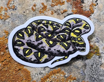 Mandarin Rat Snake Sticker: Glossy Reptile Art, Asian Wildlife (4 inch)