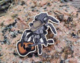 Wooden Pin - Aphonopelma johnnycashi Black Tarantula - Made with Recycled Materials - Western Cowboy Hat Guitar Country
