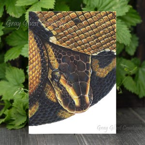 May include: Close-up of a brown and black snake with a yellow and black pattern. The snake's eye is visible and the scales are detailed. The image is a digital illustration.