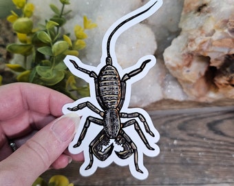 Vinegaroon Sticker - 4.5 inch glossy sticker -  Tarantula Insect Bug Arachnid Art Scorpion Waterproof