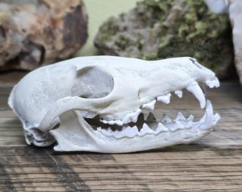 1*0様 vintage fox image マルチ柄　ジャケット skull il_340x270.6964016406_7ru0.jpg