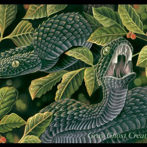 Yellow Reptile Atheris Squamigera - Paint By Numbers - Painting By Numbers