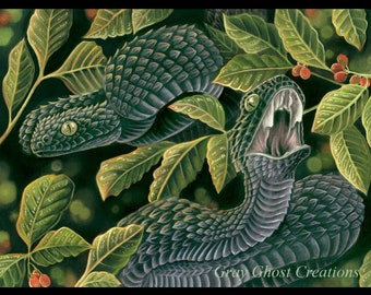 African Bush Vipers - Fine Art Print - By Laura Airey Le - Coffee Plant Black Viper Venomus Reptile Art Flowers Beans Squam