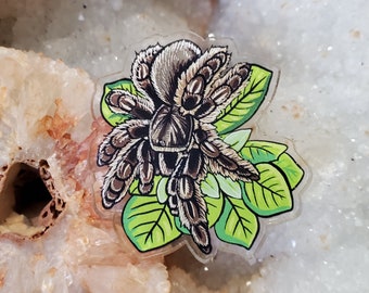 Acrylic Pin - Tliltocatl albopilosus Curly Hair Tarantula - Made with Recycled Materials - Arachnid Spider Plants Leaves Artwork