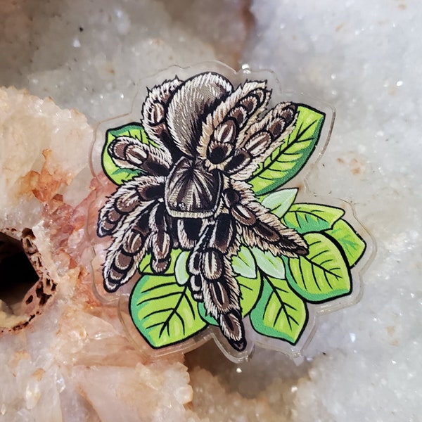Acrylic Pin - Tliltocatl albopilosus Curly Hair Tarantula - Made with Recycled Materials - Arachnid Spider Plants Leaves Artwork