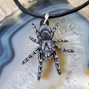 Brazilian Black Tarantula Grammostola pulchra Wooden Pendant and Necklace - Spider Arachnid Nature Wildlife Brazil