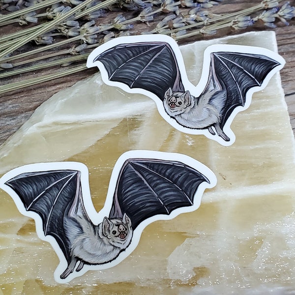Vampire Bat Pair of Stickers - 2.75 inch glossy stickers - Bat Bats Bird Mammal Cute Adorable Drawing