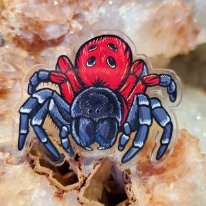 Acrylic Pin - Velvet Ladybird Spider - Made with Recycled Materials - Eresus  African Arachnid Tarantula Bug Insect Cute