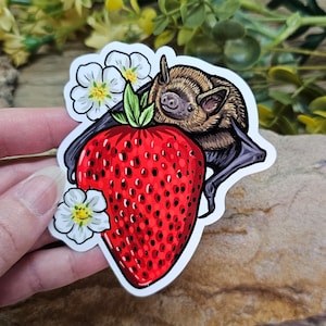 May include: A sticker featuring a brown bat perched on a red strawberry with white flowers. The bat has a light brown body and dark brown wings. The strawberry is detailed with red and black seeds.