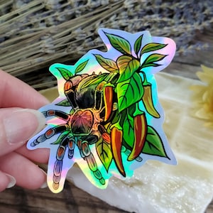 Brachypelma auratum Holographic Rainbow Sticker - 2.5 inch glossy sticker -  Tarantula Insect Bug Arachnid Green Holo Art Drawing