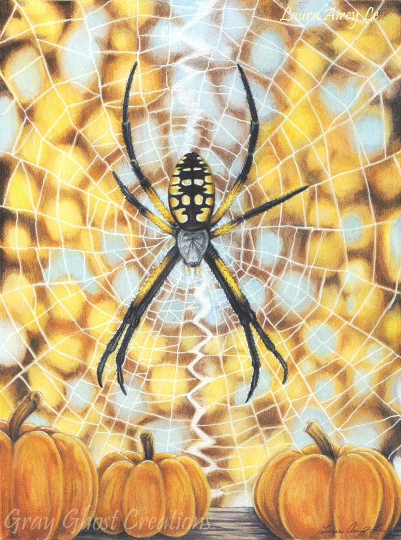 Autumn in the Air Yellow Orb Weaver Garden Spider with Pumpkins 5 x 7 Fine Art Print By Laura Airey Le Argiope aurantia image 1