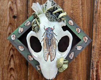 Custom Painted Cicada on a Real Beautiful Beaver Skull and Sculpted Mushrooms Animal Art Metaphystical Cottagecore Quartz Crystals