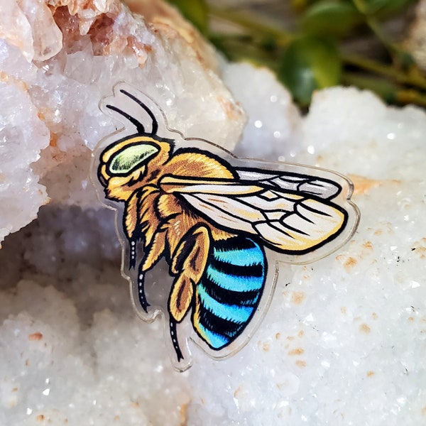 Acrylic Pin - Australian Native Blue Banded Bee - Made with Recycled Materials - Sun Moon Honeybee Bumblebee Butterfly Metaphystical