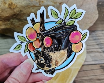 Fruit Bat Sticker - 3.75 inch glossy sticker - Waterproof Bat Batty Art Wildlife Spectacled Flying Fox Sky Puppy Apricots