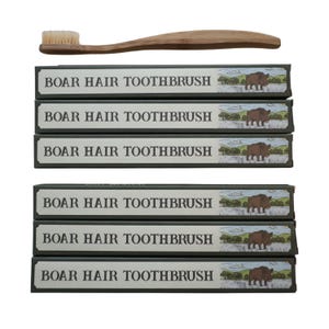Tandborste med vildsvinsborst | 6-pack | Plastfri | Bambuhandtag | Ingen mikroplast | Naturlig tandborste | 100 % vildsvinsborst