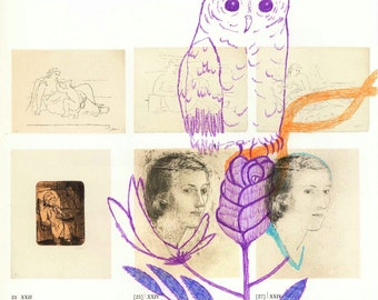 Original Drawing on Book Page, Owl Illustration, Rose, Nature, Flowers, Surreal Art, Number Three, Wisdom, Ballpoint Pen, Kunst, Purple