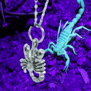 Scorpion - Scorpion Charm Necklace - Scorpion Necklace -  Scorpion Jewelry - Spider Necklace - Silver Scorpion - Gothic Necklace