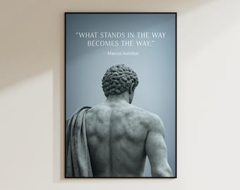 May include: A framed print featuring a classical statue of a man from the back, draped with a cloth. The print has a blue-gray background with the quote "WHAT STANDS IN THE WAY BECOMES THE WAY." by Marcus Aurelius in white text.
