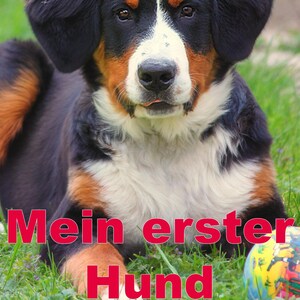 Dog, first dog, puppy, dog guide, dog advice, dog tips, dog knowledge, adopting a dog, training a dog, keeping a dog