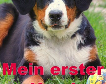 Chien, premier chien, chiot, chien guide, conseils pour chien, astuces pour chien, connaissances canines, adopter un chien, dresser un chien, garder un chien