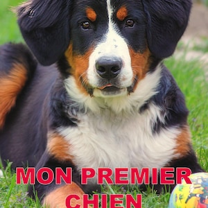 Può includere: Un cucciolo di cane da montagna bernese con pelo nero, bianco e marrone è sdraiato sull'erba verde. Il cucciolo sta guardando la telecamera. Il testo "MON PREMIER CHIEN" è in lettere rosse sopra il cucciolo. Il testo sotto il cucciolo dice "Un guide de A à Z pour tous ceux qui veulent accueillir un chien comme nouveau membre de la famille."