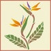 Bird of Paradise Stencil 7.5 X 9.2 the Artful Stencil 10 Mil Mylar ...