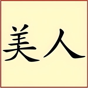 Kanji Beauty Stencil - Japanese Kanji Chinese Hanzi Word Saying Symbol Reusable Sturdy Flexible Template for Painting - The Artful Stencil