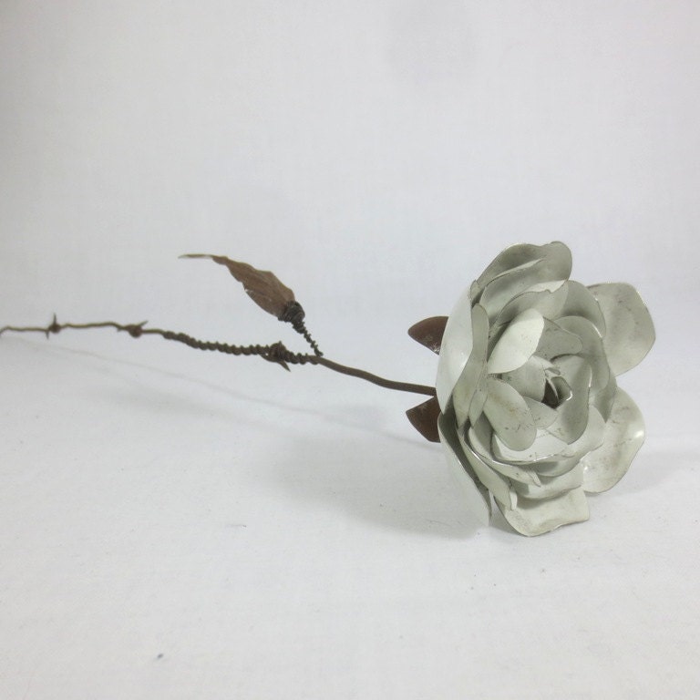 A Single Rustic White Immortal Wild Rose With Barbed Wire Stem