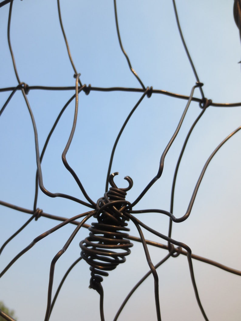 Spider Spinning A Web Barbed Wire Garden Trellis Made to Order image 3