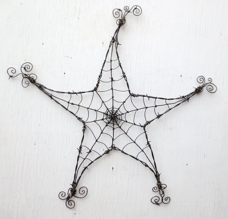 Barbed Wire Star Spider Web Garden Decoration or Trellis image 1