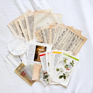 Set di carta vintage e botanica – 20/40/60 pezzi – Carta per scrapbooking per diario, amici di penna e posta ordinaria