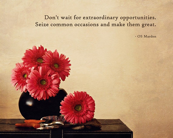 Gerbera Daisies Still Life With Quote 8x10 Motivational Art Etsy