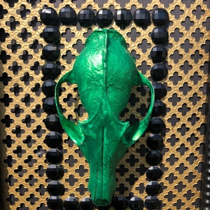 Puede incluir: Un cráneo de animal verde montado sobre un fondo con patrón dorado y negro.