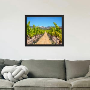 Sonoma Valley Vineyard – Framed Landscape Photography, Wine Country Wall Art for Home & Kitchen Decor