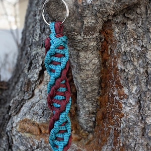 May include: A blue and red paracord keychain with a silver key ring. The keychain is hanging from a tree branch.