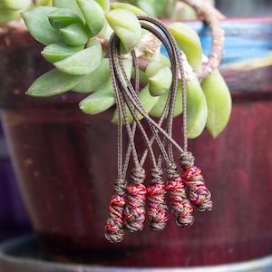 May include: Close-up of several small, handmade macrame pendants with brown cords and colorful red, orange, and brown knots. The pendants hang in front of a red and blue painted flower pot with green succulent plants.
