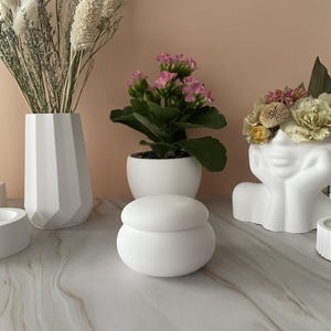 May include: White ceramic jar with a lid, sitting on a marble surface. The jar is round and has a smooth finish. There are plants and other decorative items in the background.